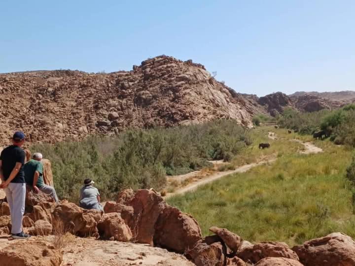 Brandberg White Lady Lodge Uis Екстер'єр фото