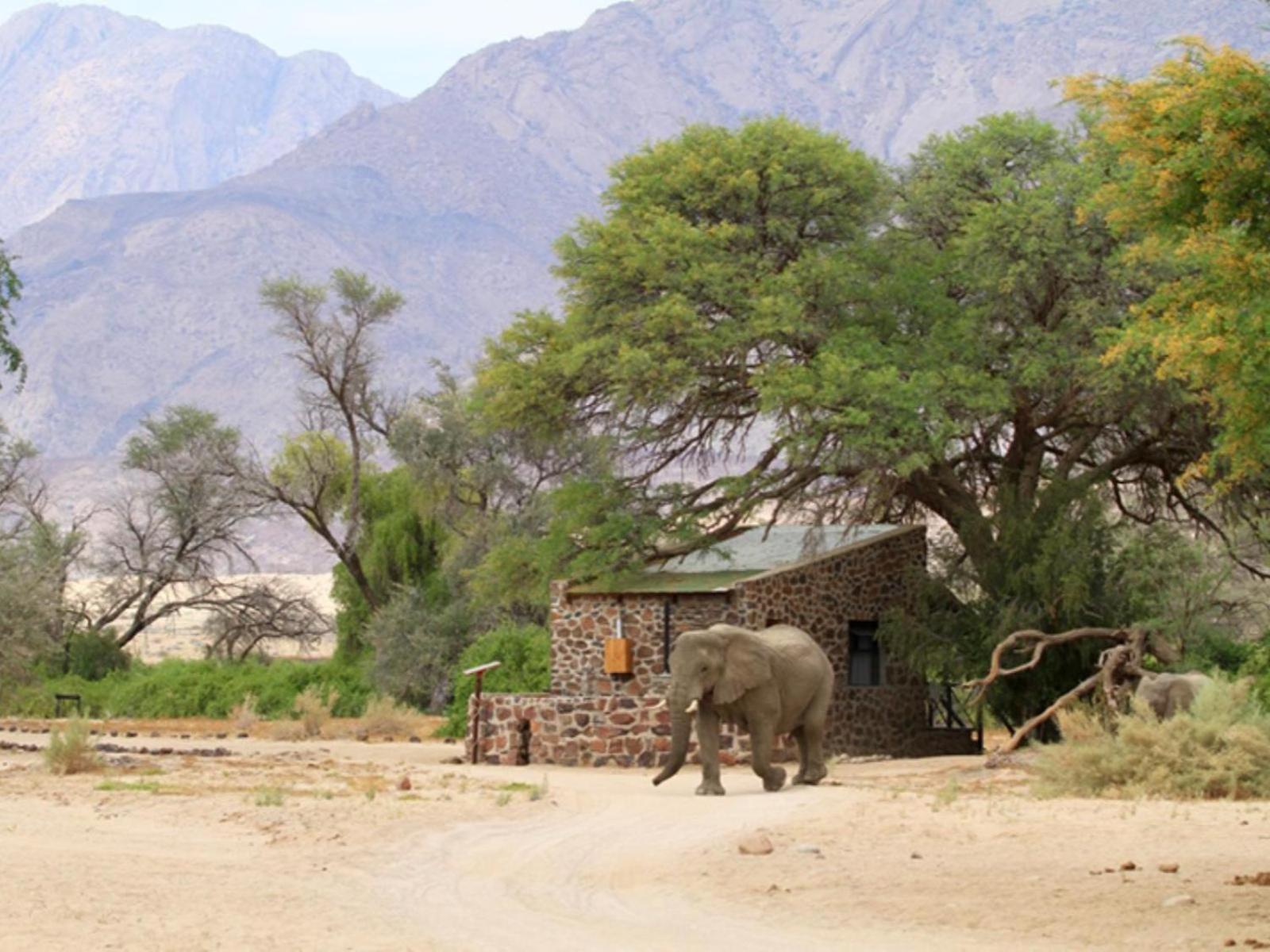 Brandberg White Lady Lodge Uis Екстер'єр фото