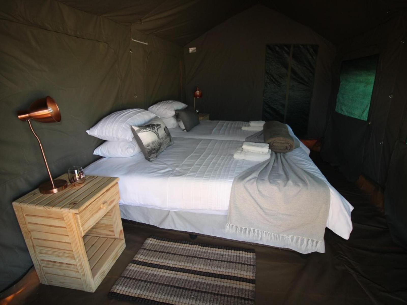 Brandberg White Lady Lodge Uis Екстер'єр фото