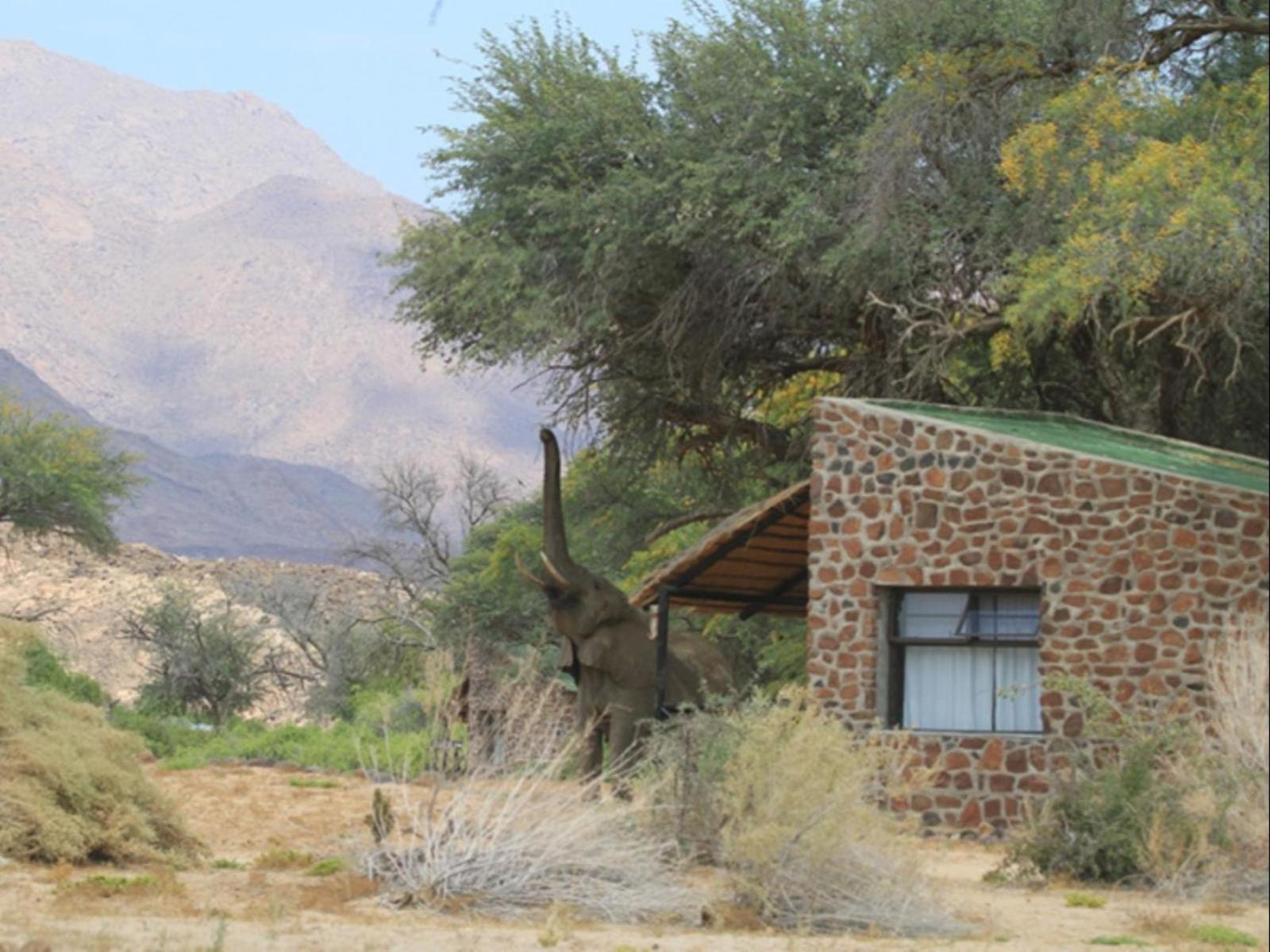 Brandberg White Lady Lodge Uis Екстер'єр фото