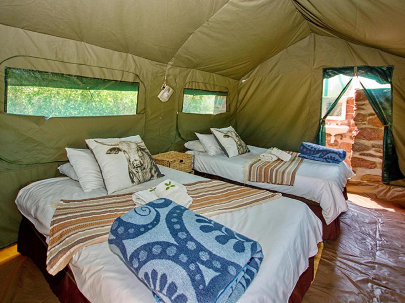 Brandberg White Lady Lodge Uis Екстер'єр фото