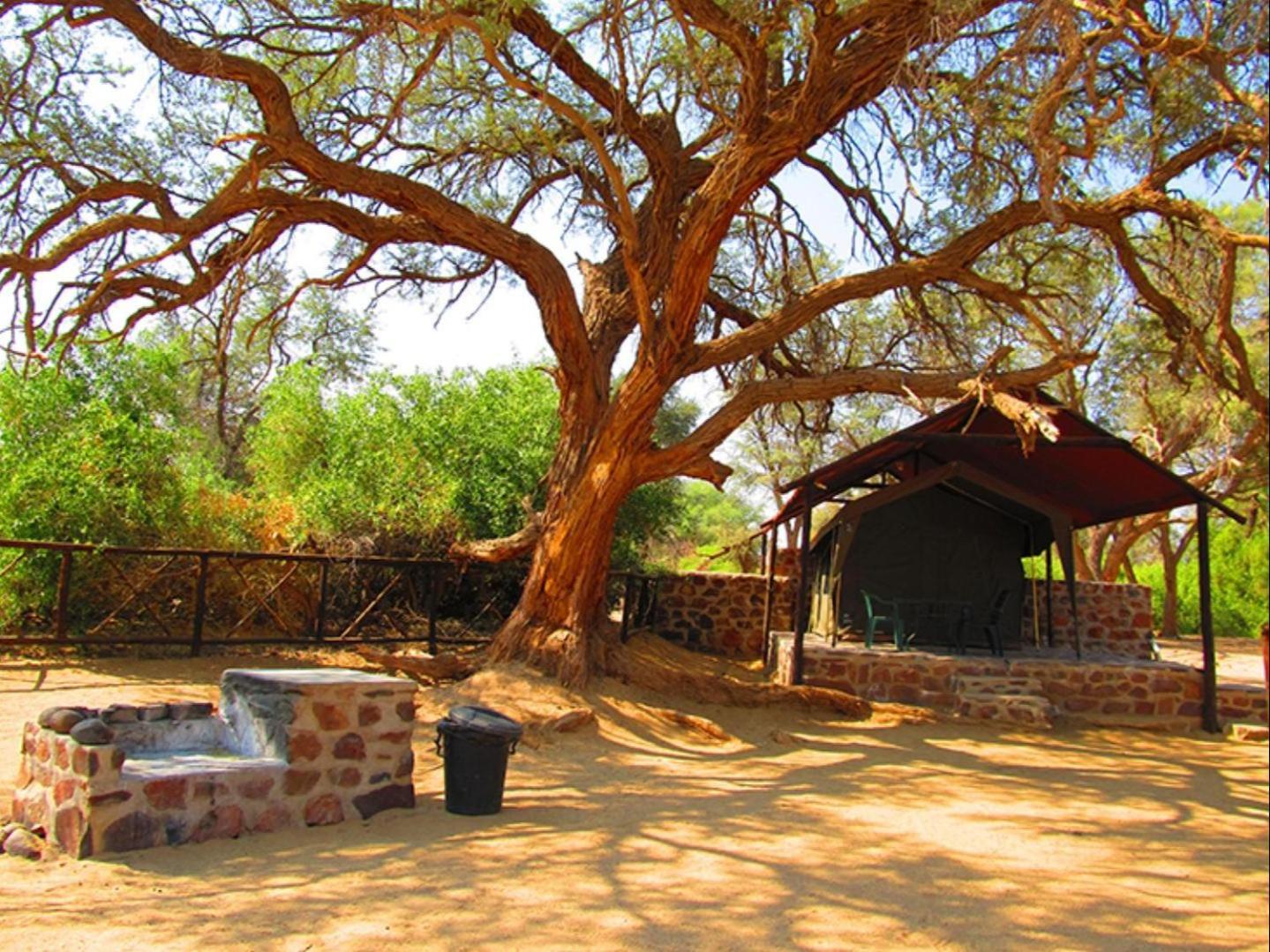 Brandberg White Lady Lodge Uis Екстер'єр фото